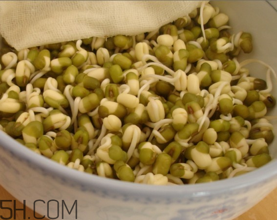 如何健康的喝豆?jié){？喝豆?jié){有什么注意事項嗎？