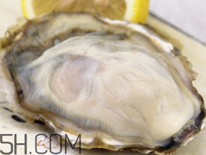 生蠔和芒果可以一起吃嗎？孕婦可以吃生蠔嗎？