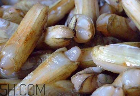 蟶子里面的黑色能吃嗎？蟶子為什么一撒鹽就出來？