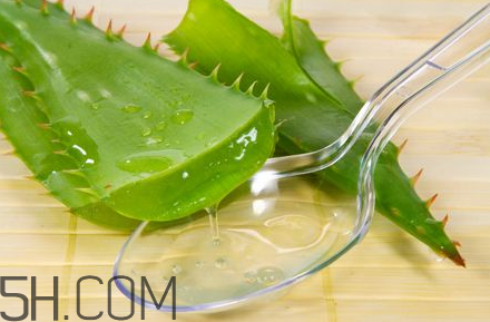 自然樂園蘆薈膠孕婦可以用嗎？自然樂園蘆薈膠使用心得