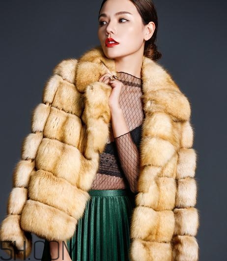 裘皮大衣是什么動(dòng)物皮？裘皮大衣怎么保養(yǎng)？