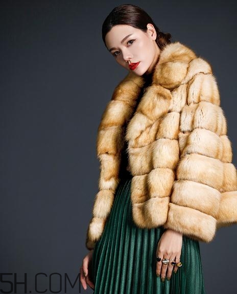 裘皮大衣是什么動(dòng)物皮？裘皮大衣怎么保養(yǎng)？