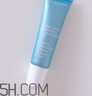 嬌韻詩藍(lán)管唇膏孕婦能用嗎？嬌韻詩藍(lán)管唇膏怎么樣？