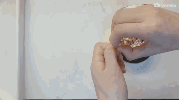 雅頓金膠怎么打開？雅頓金膠膠囊怎么扭開？