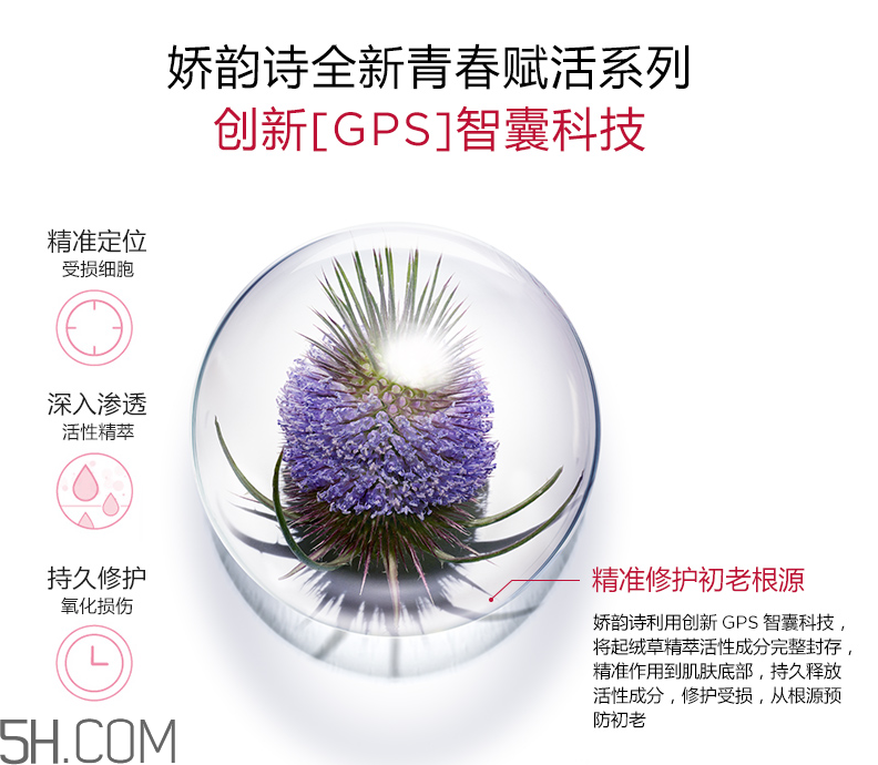 嬌韻詩(shī)青春賦活日間霜