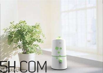 加濕器的使用誤區(qū)有哪些？加濕器的功能介紹