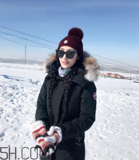 加拿大鵝羽絨服多少錢？加拿大鵝羽絨服價(jià)格