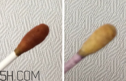 雅頓小銀蛋是什么？雅頓小銀蛋多少錢(qián)？