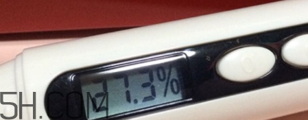 雅頓小銀蛋是什么？雅頓小銀蛋多少錢(qián)？