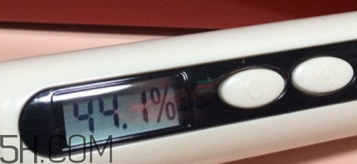 雅頓小銀蛋是什么？雅頓小銀蛋多少錢(qián)？