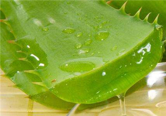 自然樂園蘆薈膠怎么用？自然樂園蘆薈膠使用方法