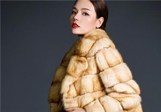 裘皮大衣是什么動物皮？裘皮大衣怎么保養(yǎng)？