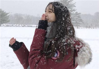 加拿大鵝羽絨服怎么樣？加拿大鵝羽絨服好嗎？