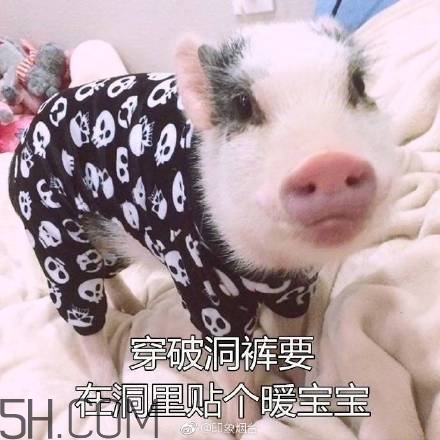 佛系青年表情包 佛系三連表情包 佛系青年表情包 佛系三連表情包