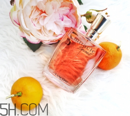 蘭蔻全新奇跡密語香水好聞嗎？蘭蔻全新奇跡密語香水香調(diào)