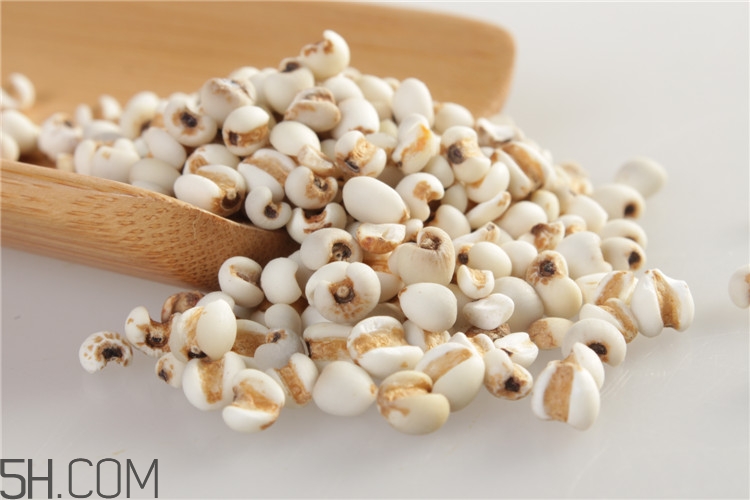 各種米的功效有哪些？米類食物的養(yǎng)生功效有哪些？