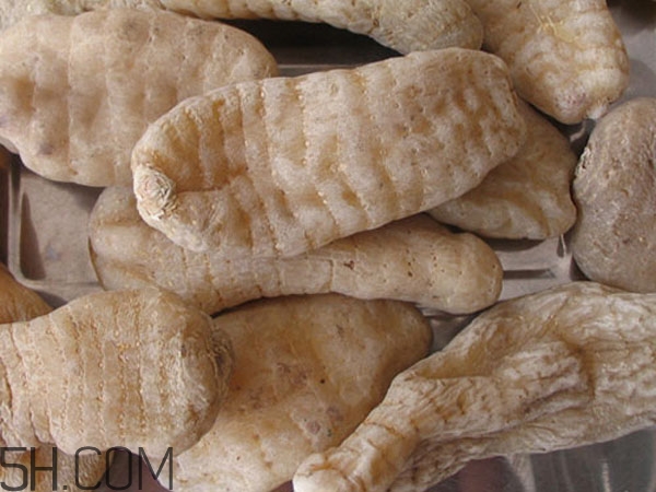 天麻能泡水喝嗎？吃天麻有什么作用？