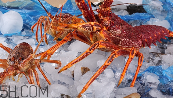 吃什么食物可以讓胸部變大？豐胸的食物有哪些？