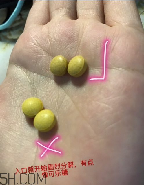 新谷酵素多少錢一盒？新谷酵素真假辨認(rèn)