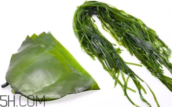 海帶的做法有哪些？怎么挑選優(yōu)質海帶？