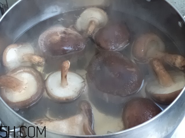 香菇和白蘿卜可以一起吃嗎？香菇和白蘿卜一起吃有什么好處？