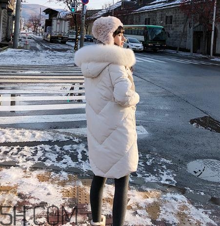 鵝絨羽絨服大概多少錢？白鵝絨羽絨服多少錢一件？