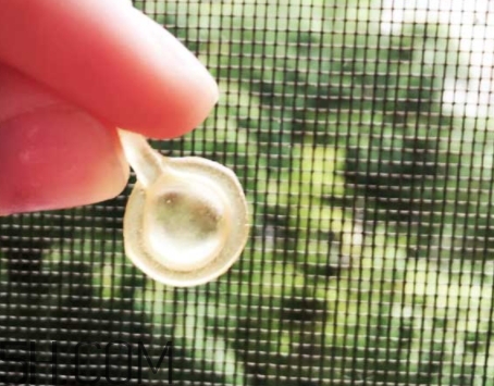 雅頓眼膠和面膠區(qū)別 雅頓眼膠和面膠可以一起用嗎？