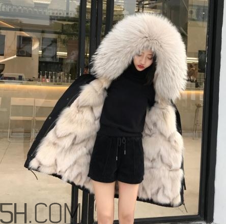 派克大衣內(nèi)膽什么毛好？派克服什么內(nèi)膽好？