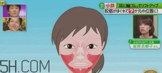 打瘦臉針的前后注意事項 臉胖的原因有哪些 打瘦臉針的前后注意事項 臉胖的原因有哪些