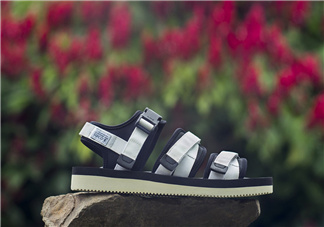 suicoke2018春夏涼鞋系列多少錢_在哪買？