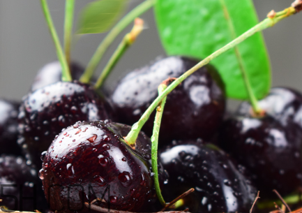 如何挑選車厘子？新鮮車厘子的挑選方法？