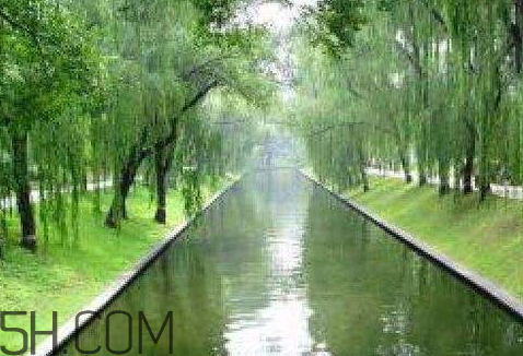 2018年五九什么時(shí)候 2018年五九是哪天 2018年五九什么時(shí)候 2018年五九是哪天