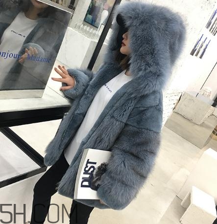 獺兔毛皮草一千元貴嗎？獺兔毛皮草2018年價格