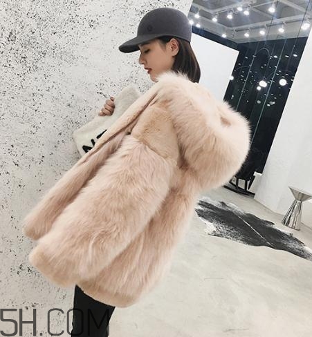 獺兔毛和兔毛哪個好？獺兔毛和兔毛的區(qū)別