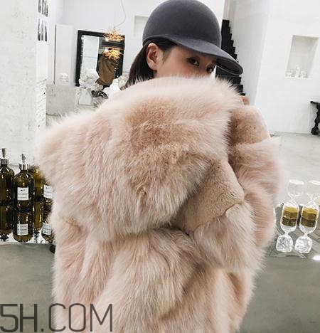 獺兔毛和兔毛哪個好？獺兔毛和兔毛的區(qū)別