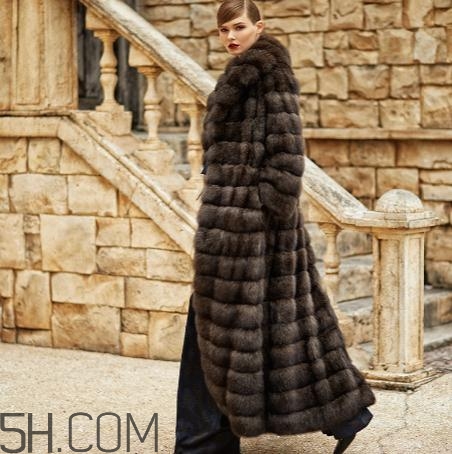 紫貂皮草一般多少錢？紫貂皮草價格