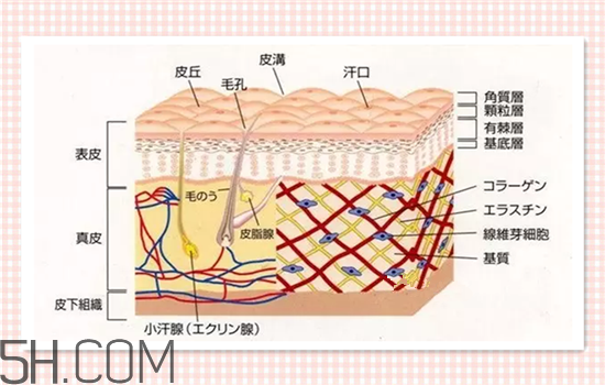 水光針可以祛斑嗎？涂抹式水光針的效果好嗎？