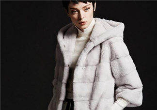 水貂皮草怎么鑒別？如何辨別水貂皮草真假？