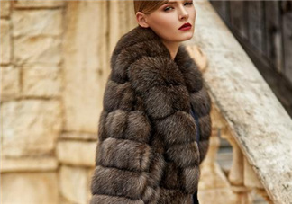 紫貂皮草一般多少錢？紫貂皮草價(jià)格