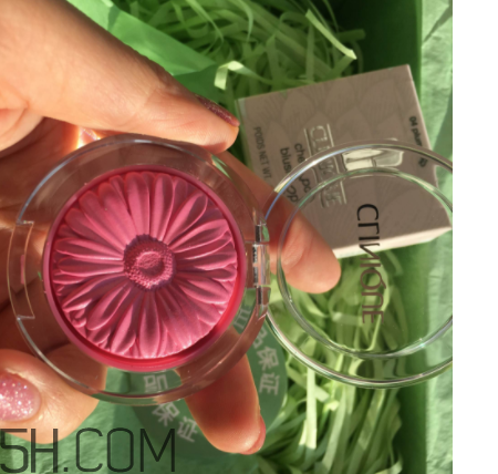 倩碧腮紅專柜價格 倩碧腮紅真人試色 倩碧腮紅專柜價格 倩碧腮紅真人試色