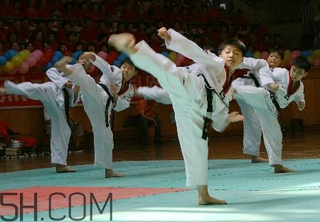 武術(shù)和跆拳道哪個對孩子好？武術(shù)和跆拳道的區(qū)別在哪里？