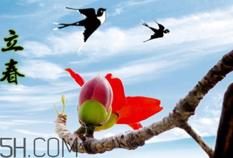 2018立春是幾九 2018年立春是幾九 2018立春是幾九 2018年立春是幾九