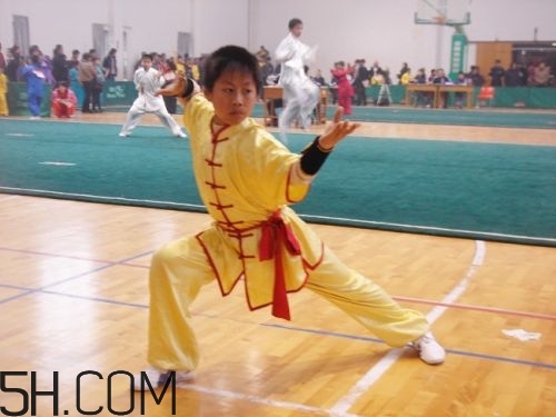 武術(shù)有哪些好處？練武術(shù)有什么好處？