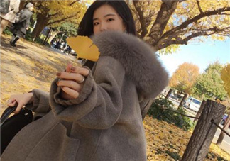 羊駝絨和羊絨哪個好？羊駝絨和羊絨的區(qū)別