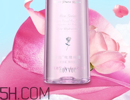 royvol萊茵是什么牌子？royvol萊茵是哪個(gè)國家的