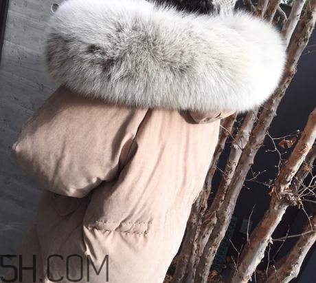 狐貍毛領(lǐng)怎么清洗？狐貍毛領(lǐng)可以用水洗嗎？