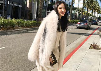 狐貍毛皮草一般多少錢？狐貍毛皮草價格