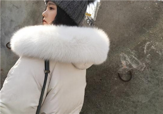 狐貍毛領(lǐng)會掉毛嗎？狐貍毛領(lǐng)掉毛怎么辦？