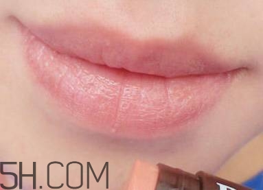 口紅是用什么做的？可以吃的口紅品牌推薦