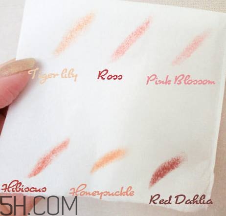 口紅是用什么做的？可以吃的口紅品牌推薦